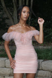 Blush Ruffle Tulle Dress